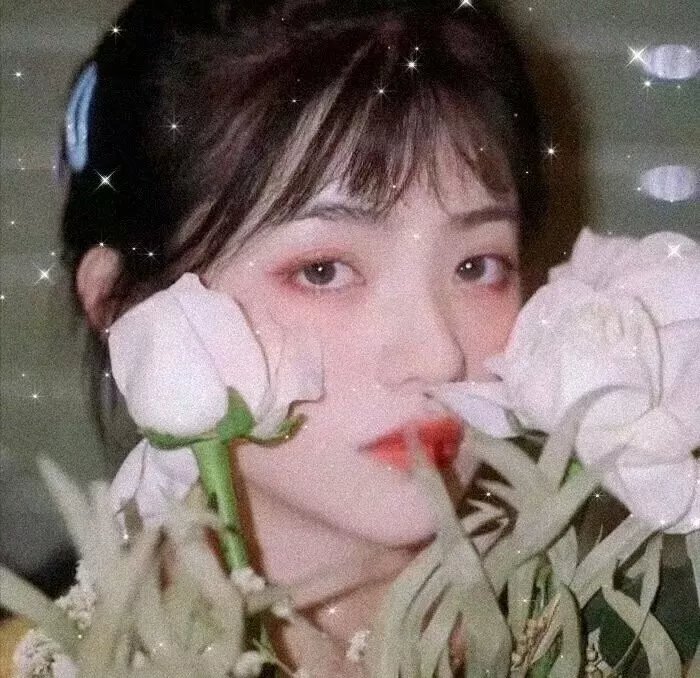 牧场随想曲